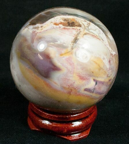 Colorful Petrified Wood Sphere #10722